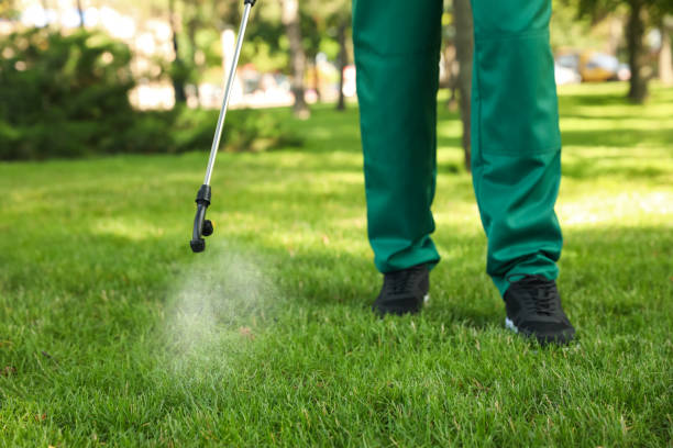 Best Affordable Pest Control Services  in Fort Worth, TX