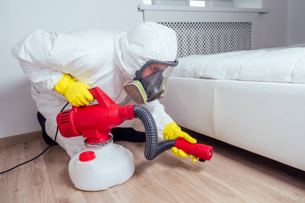Best Insect Control  in Fort Worth, TX