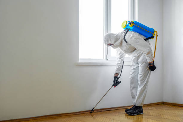 Best Emergency Pest Control  in Fort Worth, TX