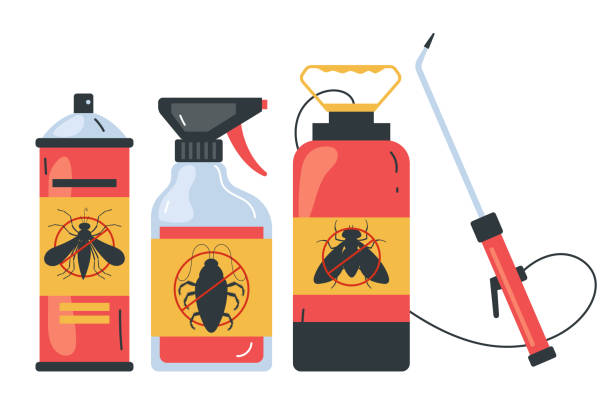 Best Spider Control Near Me  in Fort Worth, TX
